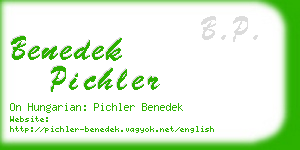 benedek pichler business card